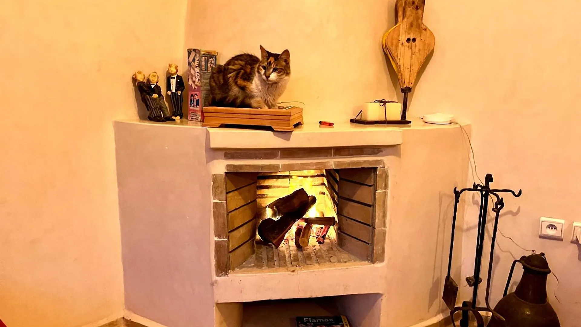 Riad Chameleon Marrakesh Morocco